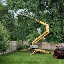 Trusted Philmont, NY Tree Services Experts